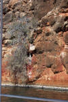 Bird on the rocks