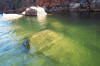 Clear Water