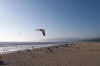 Santa Monica Beach - Looking North from the pier