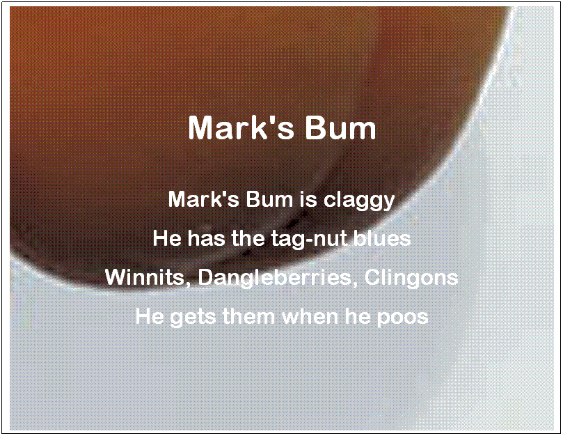 Text Box: Mark's Bum
&nbsp;
Mark's Bum is claggy
He has the tag-nut blues
Winnits, Dangleberries, Clingons
He gets them when he poos
